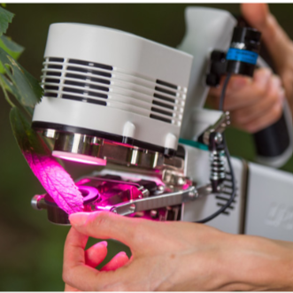 Portable Photosynthesis System - Image 4