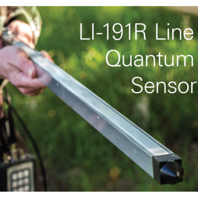 Line Quantum Sensor