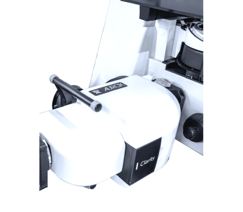 Clarity - Image 3